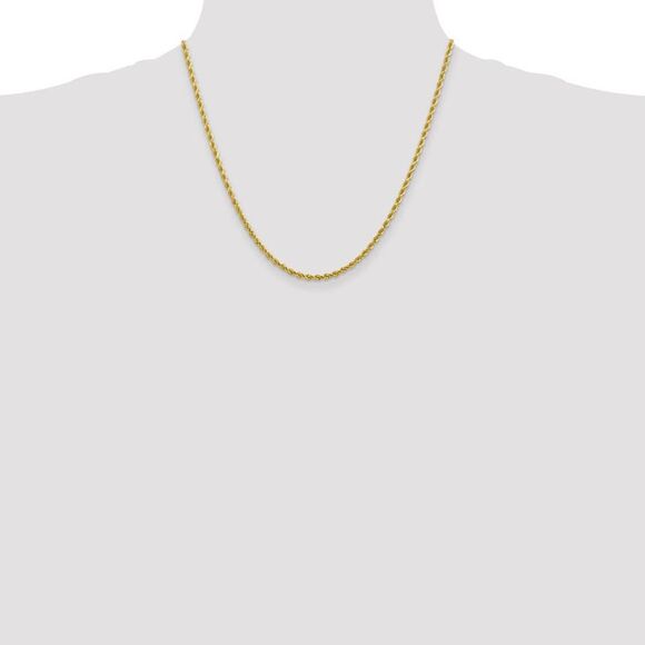 2.75mm 10k Yellow Gold Diamond Cut Solid Rope Chain Necklace, 20 Inch - Picture 2 of 8